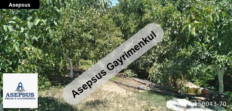 Asepsus Emlak'tan 3+1 torhasan köyü 'sinde satılık arsa