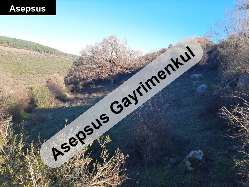 sahi̇bi̇nden, müstaki̇l parsel, i̇mar firsatli, doğayla i̇ç i̇çe