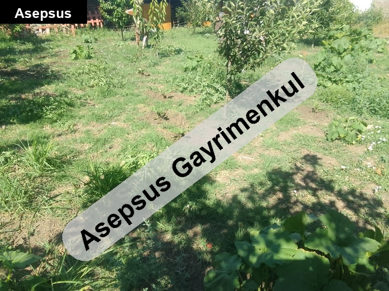 ayrı tapu... ister ev yap istersen bahçe olarak kullan