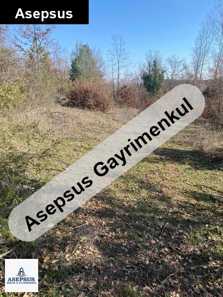 Asepsus Emlak'tan 3+1 aşağıçavuş köyü 'sinde satılık arsa