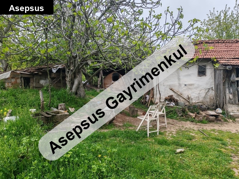 muhteşem doğanın yeşilliğin içinde ev de dahil köy merkezinde