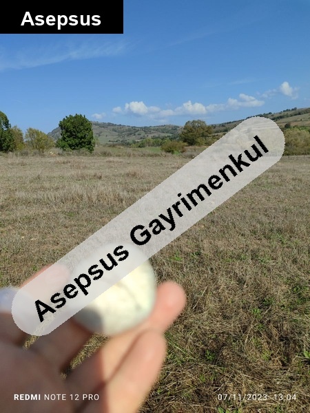 karesi̇ni̇n gözde mahallesi̇nde sahi̇bi̇nden satilik