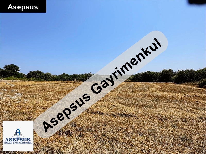 Asepsus Emlak'tan 3+1 sinekçi köyü 'sinde satılık arsa