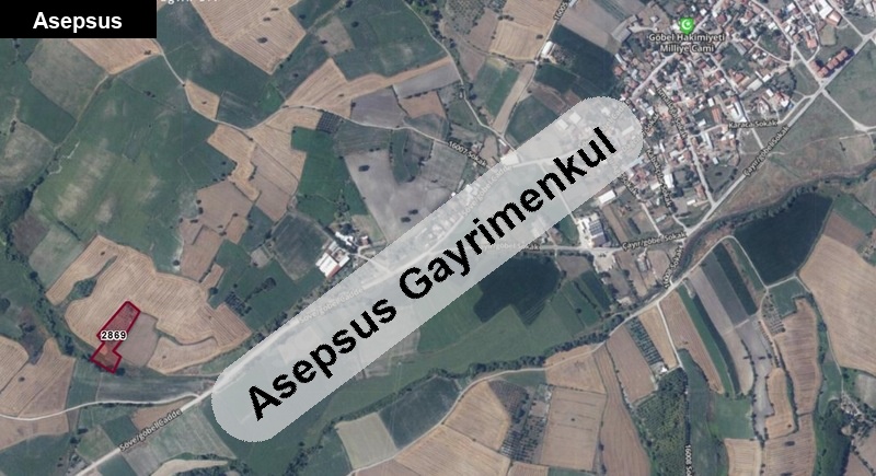 susurluk göbel mah. 6800 m2 zeytin ve ceviz bahçesi