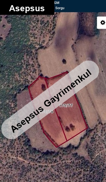 ata toprağı ihtiyaç nedeni ile satılık : (