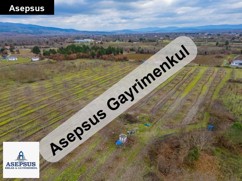 Asepsus Emlak'tan 3+1 akçakoyun köyü 'sinde satılık arsa