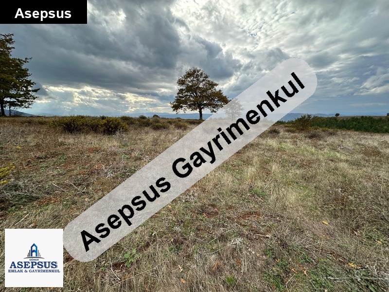 Asepsus Emlak'tan 3+1 karadoru köyü 'sinde satılık arsa