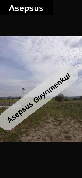 güneş enerjilerinin hemen yanında