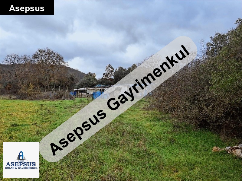 Asepsus Emlak'tan 3+1 çınarcık köyü 'sinde satılık arsa