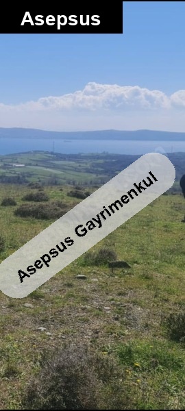 deniz manz.erdek kapıdağ yarımadası 23donum tek tapu satılık