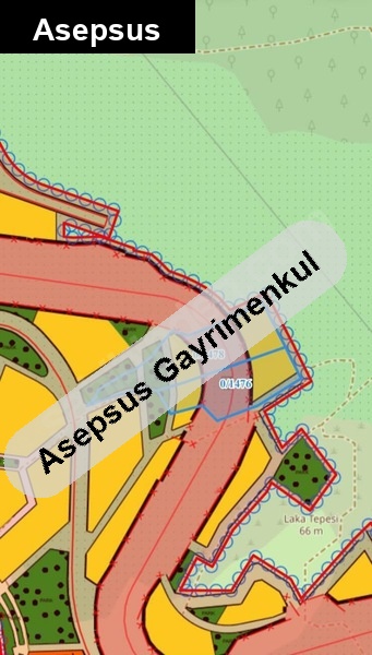 erdek narlı da sahibinden satılık arsa yatırımlık zeytinlik