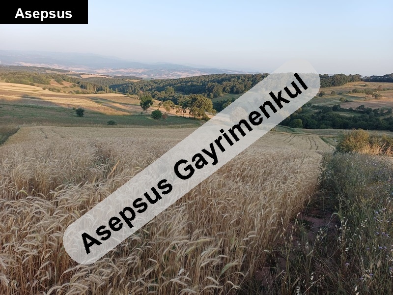 10 dönüm . yapı izni alınabilir . muhteşem manzaralı.