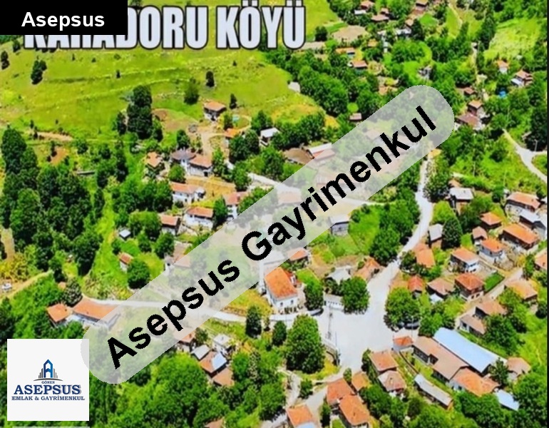 Asepsus Emlak'tan 3+1 karadoru köyü 'sinde satılık arsa
