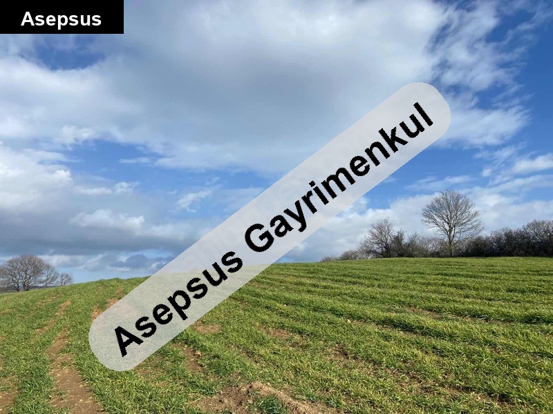 balya ilıca yatırımlık tarla