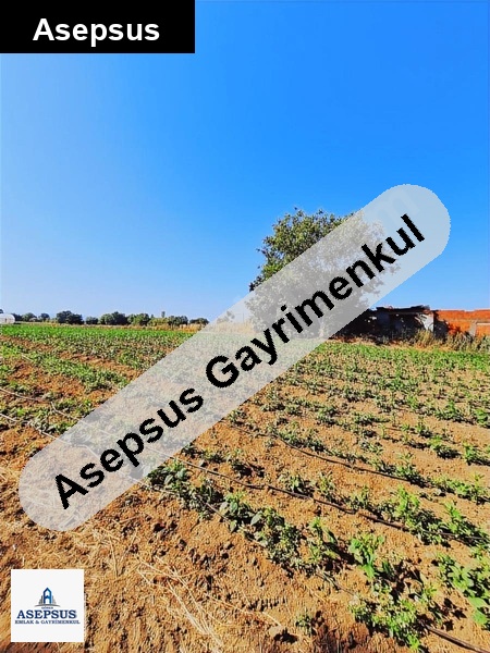 Asepsus Emlak'tan 3+1 gümüşçay bld. 'sinde satılık arsa