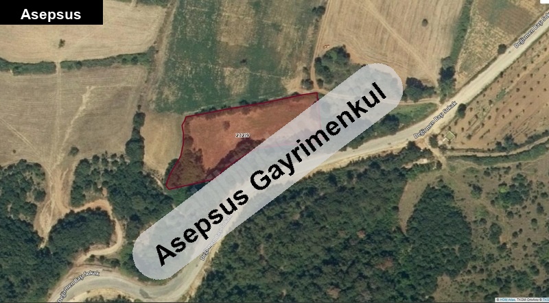 satilik tarla çalova / balya / balikesi̇r