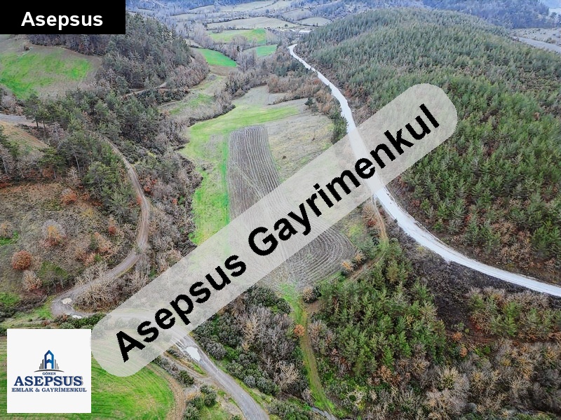 Asepsus Emlak'tan 3+1 sofular köyü 'sinde satılık arsa