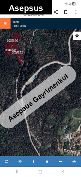 edincik'te denize yerleşim yerine yakın satılık 3670m2 zeytinlik