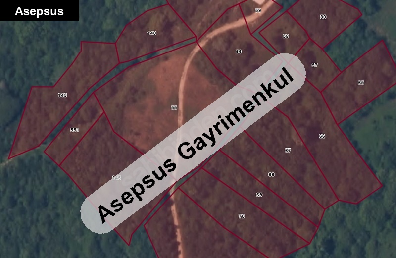 2300 m2 deniz manzaralı tarla