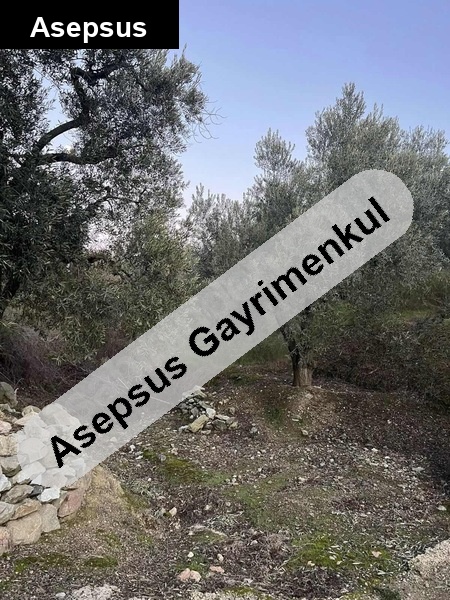 sahi̇le ve merkeze yakin tek tapu