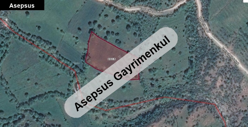 bali̇kesi̇r/balya/yaylacikta yatirimlik arsa 7 dönüm (6964 m2)