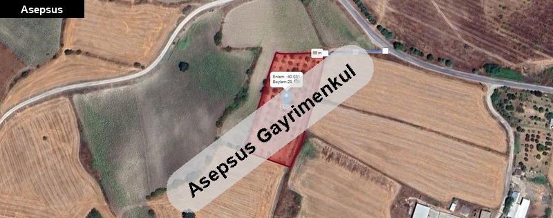 balikesi̇r i̇li̇ göbel mahallesi̇nde satilik 6875 m2 cevi̇z bahçesi̇