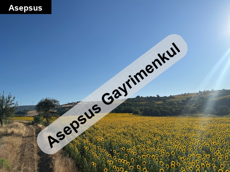 yıldız mah. 15.8 dönüm tarla