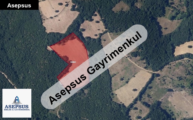 Asepsus Emlak'tan 3+1 sarıçayır köyü 'sinde satılık arsa