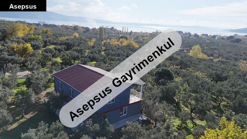 erdek zeytinli mah 4800 m