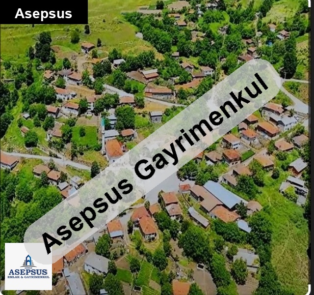 Asepsus Emlak'tan 3+1 karadoru köyü 'sinde satılık arsa