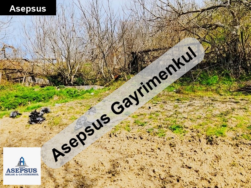 Asepsus Emlak'tan 3+1 karadoru köyü 'sinde satılık arsa