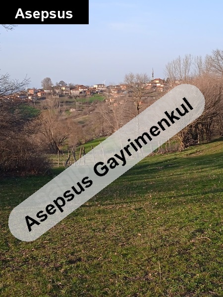 Gönen Çobanhamidiye’de Hobi Bahçesine Uygun 2.300 m² Tarla – Doğa İçinde Yatırım Fırsatı