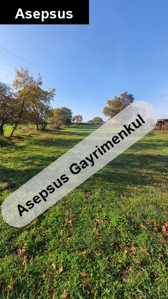 Gönen Turplu’da Köye 300m | Yola Cephe 757 m² Müstakil Tapulu Tarla