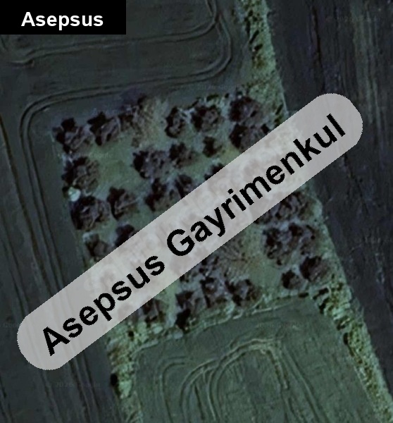 Bandırma Yeşilçomlu’da Yola Cepheli Satılık Zeytinlik – 2.200 m² Fırsat