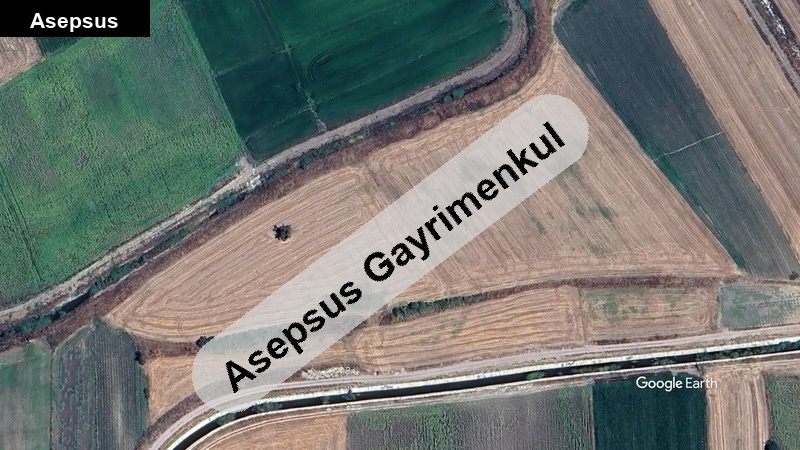 SUSURLUK MURADİYE’DE KANALA SIFIR 19.875 m² SATILIK VERİMLİ TARLA