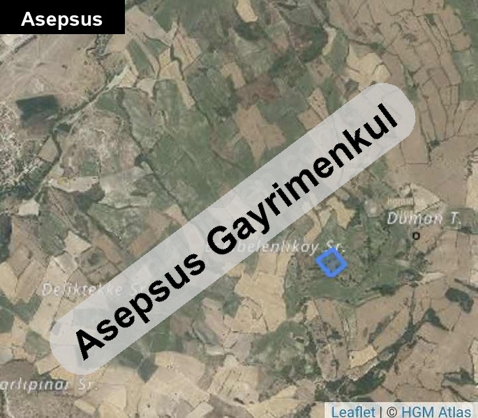 SUSURLUK DEMİRKAPI’DA 11.788 m² SATILIK TARLA | YATIRIMLIK FIRSAT