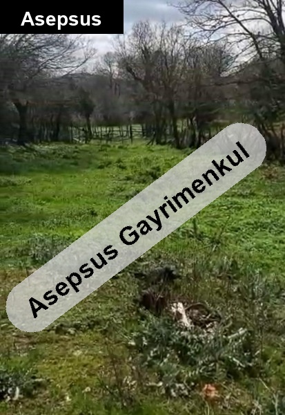 Balıkesir/Gönen Alaşar Köyü İçinde 720 m² Acil Satılık Arsa