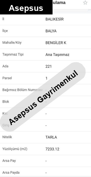 Balya Bengiler’de Yatırımlık 7.233 m² Tarla – Köye 1,5 km Mesafede 