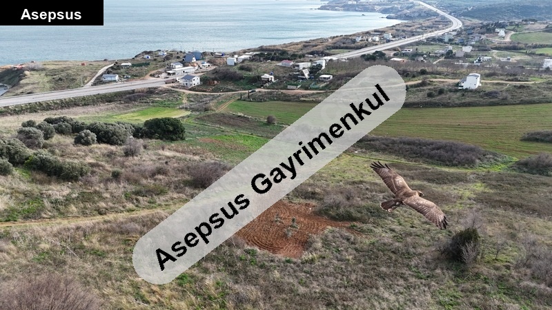 Çalışkanlar Mah. 650 m² Deniz Manzaralı Satılık Arsa – Anayola Cephe!