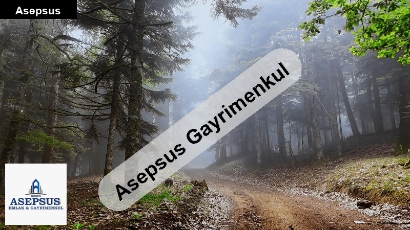 Asepsus Emlak'tan 3+1 eski yenice mah. 'sinde satılık arsa