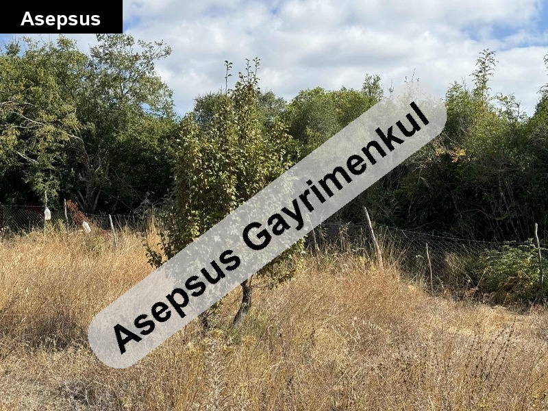 BALYA SEMİZKÖY’DE ANAYOLA SIFIR, CEVİZ BAHÇELİ SATILIK ARSA – ACİL!