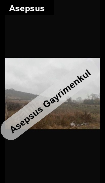 Susurluk Reşadiye’de 2.000 m² Yatırımlık Tarla - Petrol İstasyonu ve İlkokul Yanı