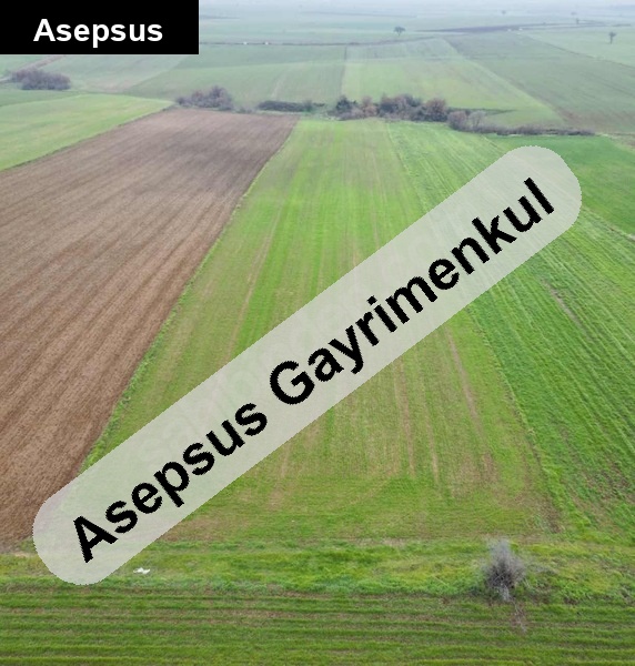 Asmalidere’de Göl Manzaralı Sulama Tarlası – 6.100 m² Manyas Kuş Cenneti manzaralı