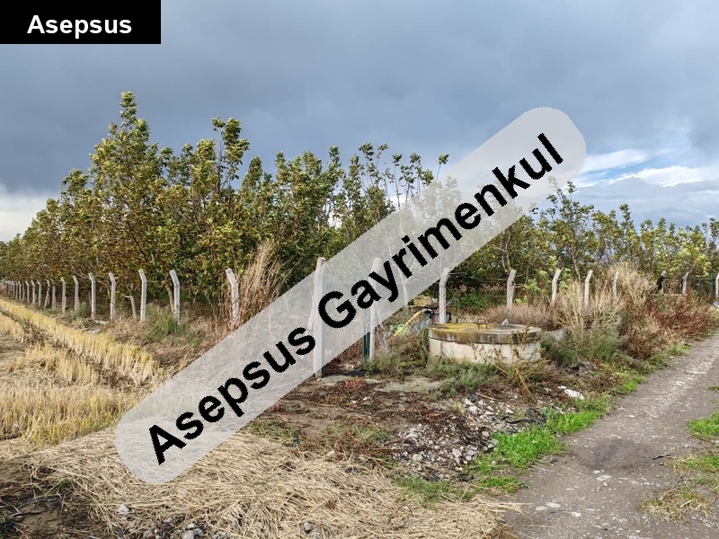 Gönen Kurtuluş’ta 9 Yıllık Emek, 100 Ağaçlı Hazır Bahçe! Suyu Bol, Yetişkin Ağaçlı, Tek Parça 2.5 Dönüm Bahçe Satılık!