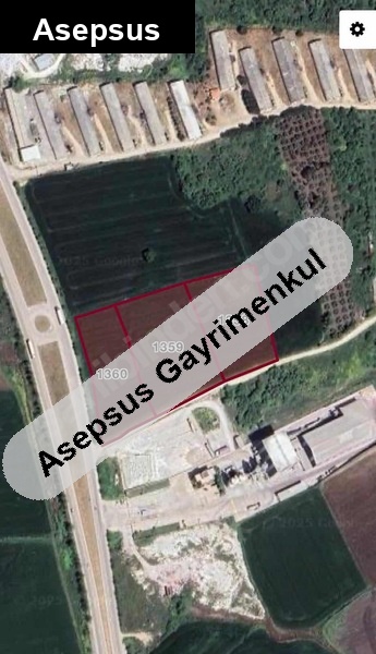 Balıkesir / Bandırma / Yeşilçomlu Mh. 19.000 m² Ana Yola Sıfır Yatırımlık Arsa