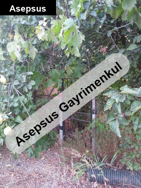 Boğazköy'de Müstakil Arsalı Köy Evi