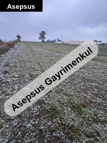 Bandırma Doğruca Mh. Satılık Tarla BMC Fabrikası yanı – BANVİT önü