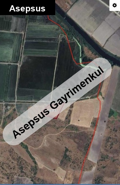 8.888 m² MANYAS YENİKÖY'DE SUYA YAKIN TARLA