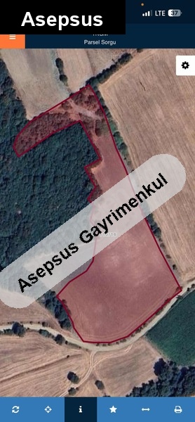 Satılık Tarla - Karaköy Mh., Susurluk / Balıkesir 