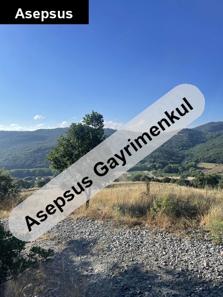 4.618 m² Satılık Tarla - Fırsat Yeri